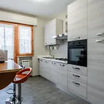 San Concordio Grey - Affitti Brevi Italia -